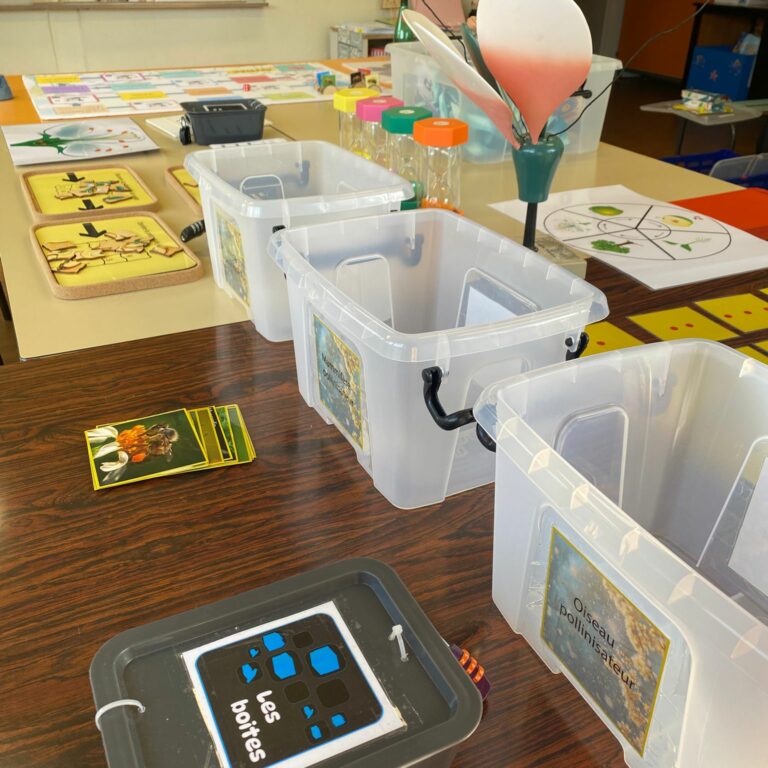 a2900b3b-5a0a-4e13-925d-026142cd7fce