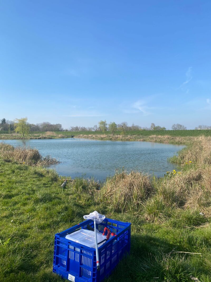 5f05a609-d515-4e20-999c-48cea34a250d